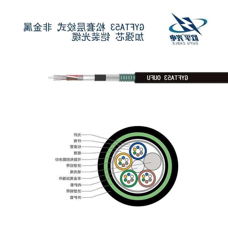 新竹县GYFTA53光缆