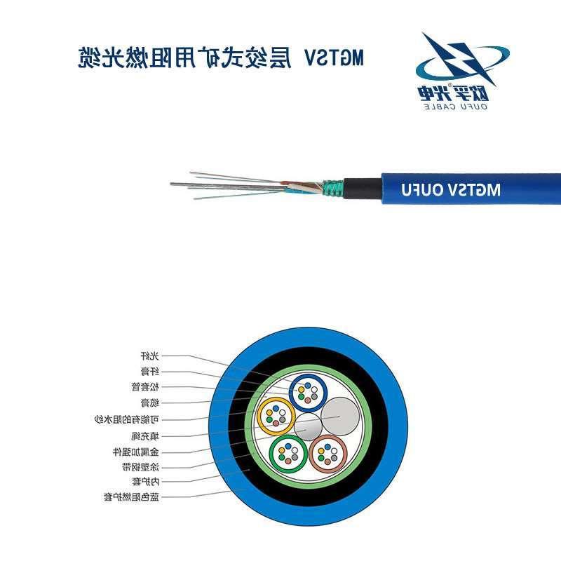 新竹县MGTSV光缆